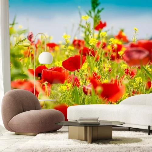 Papier peint  Mohnblumen - Le champ de pavot