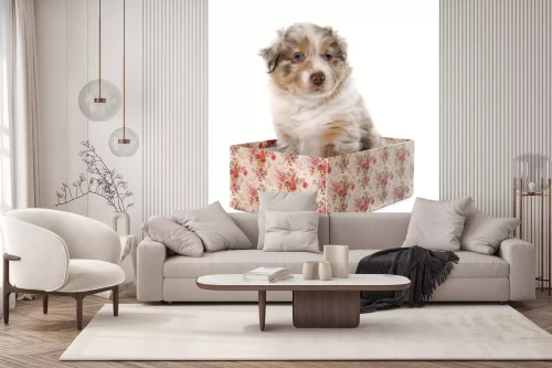 Visualisation du produit