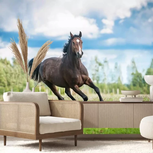 Sticker  Monture brune de chevaux courant dans la clairière