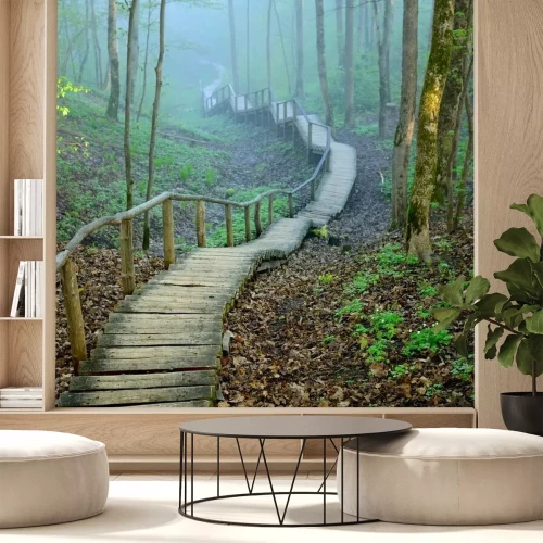 Papier peint  Escalier mystérieux dans une forêt brumeuse