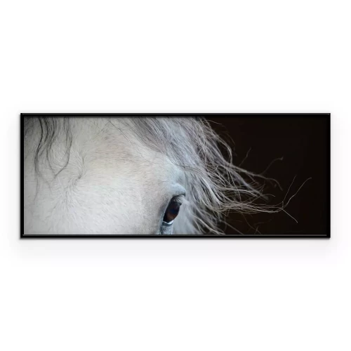 Poster  Gros plan sur l'œil d'un cheval