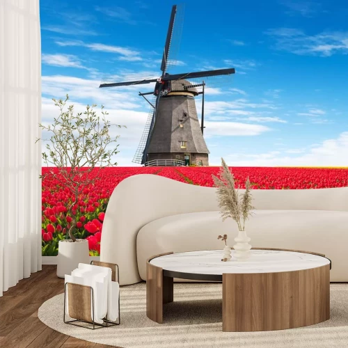 Papier peint  Champ de tulipes et moulin à vent
