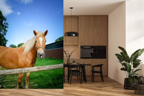 Visualisation du produit