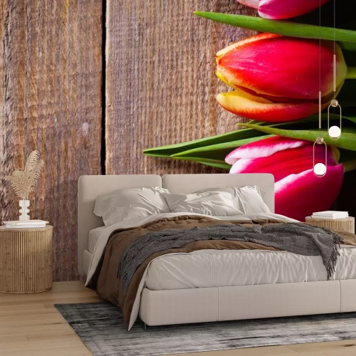 Sticker  Tulipes sur bois