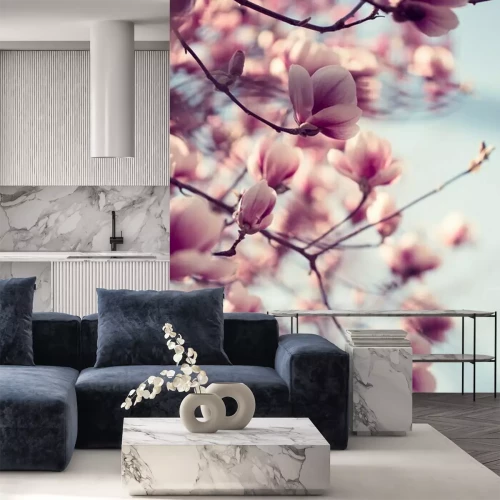 Papier peint  Magnifiques, rose, magnolia, fleurs