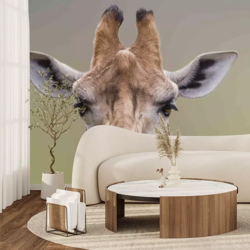 Sticker  Je suis beau, un portrait mignon de girafe.