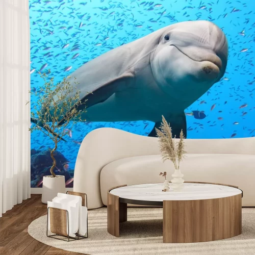 Sticker  Dauphin, sous-marin, récif, fond