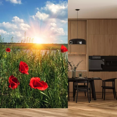 Papier peint  Coquelicots rouges dans une prairie au lever du soleil