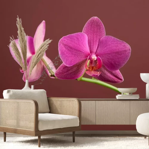 Sticker  Orchidée sur fond marron