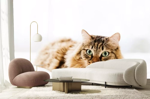 Visualisation du produit