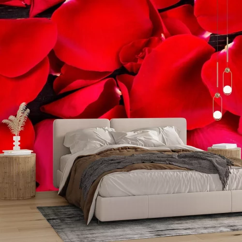 Sticker  Roses rouges et leurs pétales