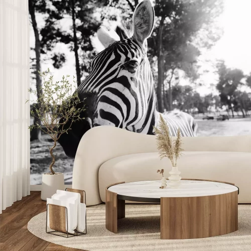 Sticker  Zebra in Safari à Tel-Aviv