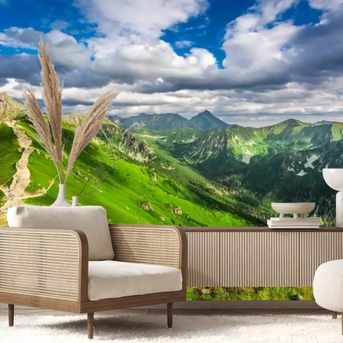 Papier peint  Tatra, montagnes, pics, ensoleillé, jour