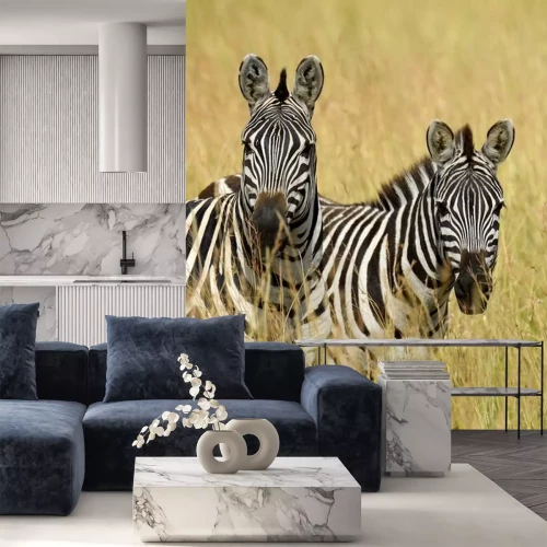 Sticker  Zèbre, prairie, africaine