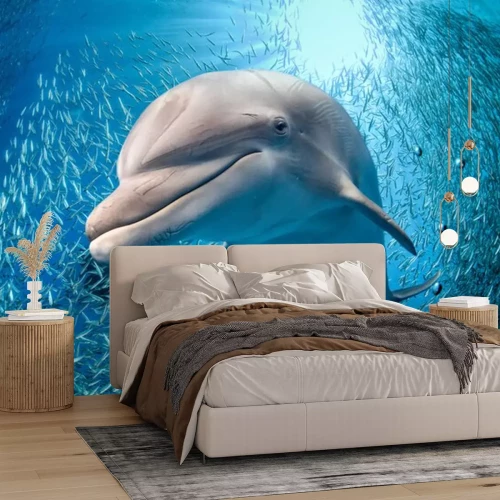 Sticker  Dauphin, sous-marin, bleu, océan, fond