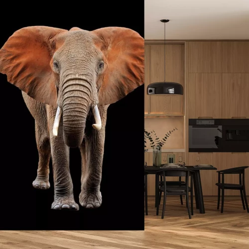 Sticker  Grand, éléphant, noir, fond