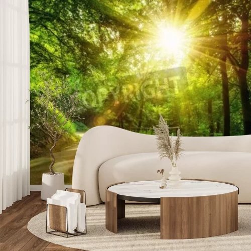 Papier peint  Lever de soleil sur une route et des arbres verts