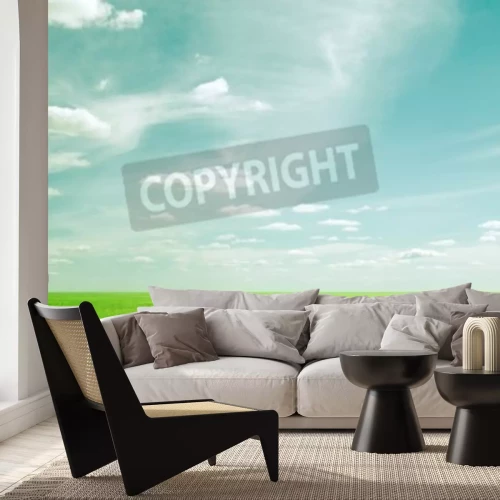 Papier peint  Ciel au-dessus de l'herbe verte