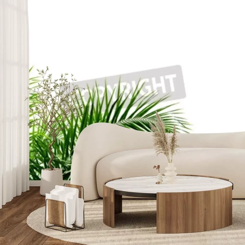 Papier peint  Feuilles de palmier sur fond blanc