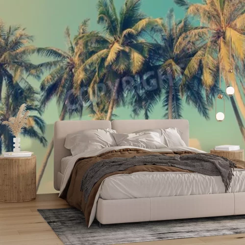 Papier peint  Vieux cocotiers