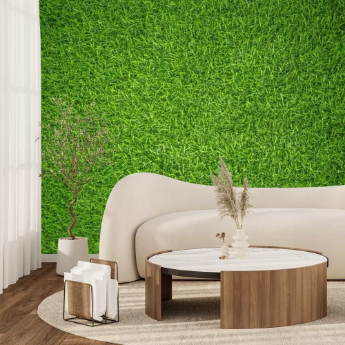 Papier peint  Herbe verte artificielle