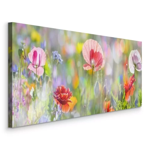 Tableau  Été, pré, rouge, pavots