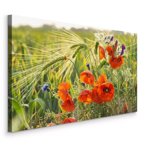 Tableau  Mak polny pośród ziół i zboża