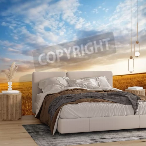 Papier peint  Ciel au-dessus d'un champ doré