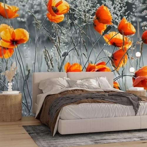 Papier peint  Coquelicots sur fond de prairie noir et blanc