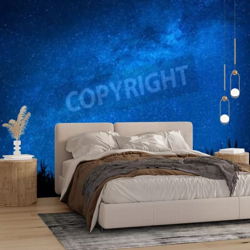 Papier peint  Herbe et ciel nocturne avec des étoiles