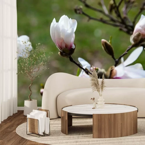 Papier peint  Magnolias en fleurs