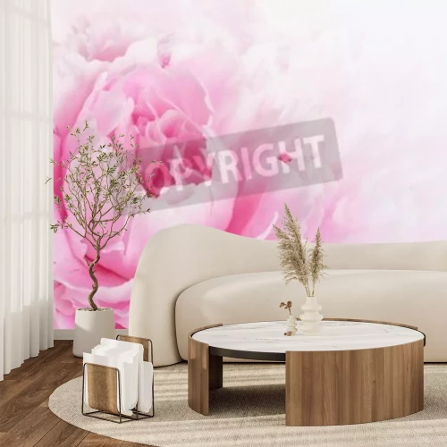 Papier peint  Pétales roses macro