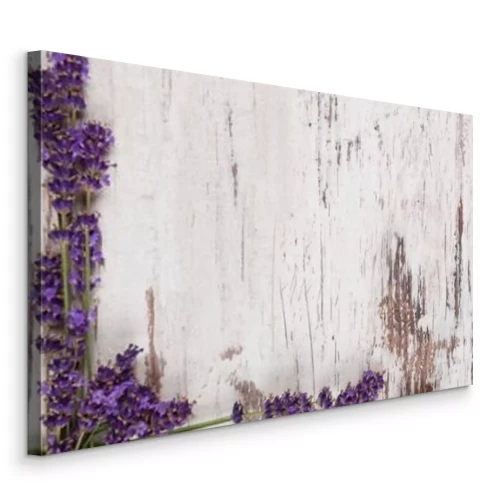 Tableau  Lavande sur de vieux tableaux blancs