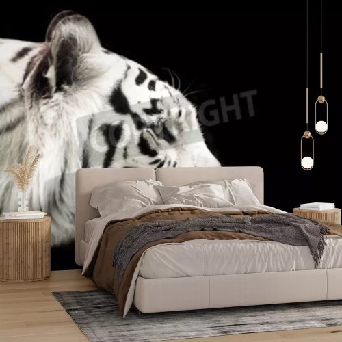 Papier peint  Tigre du Bengale arrière-plan foncé