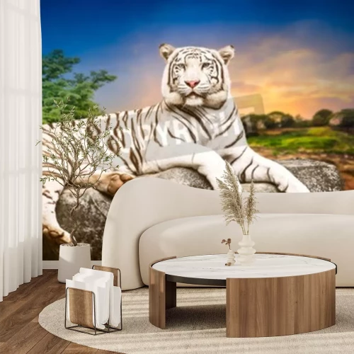 Papier peint  Tigre blanc allongé sur une pierre