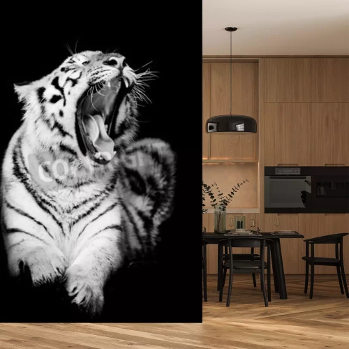 Papier peint  Le tigre noir et blanc