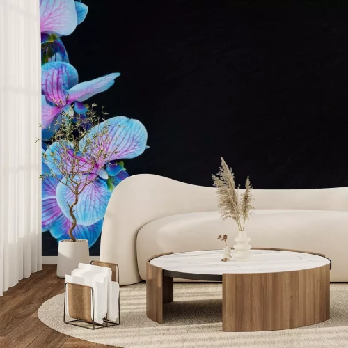 Papier peint  Bouquet, violet, orchidées