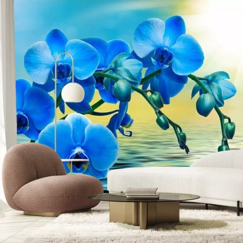 Papier peint  Orchidées bleues sur une mer calme