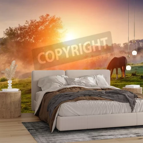 Papier peint  Lever de soleil par les chevaux