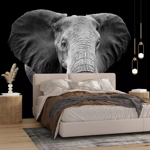 Papier peint  Motif noir et blanc avec un éléphant