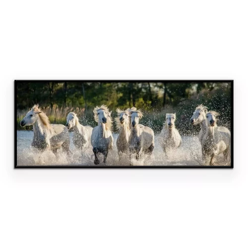 Poster  Des chevaux galopent dans l'eau