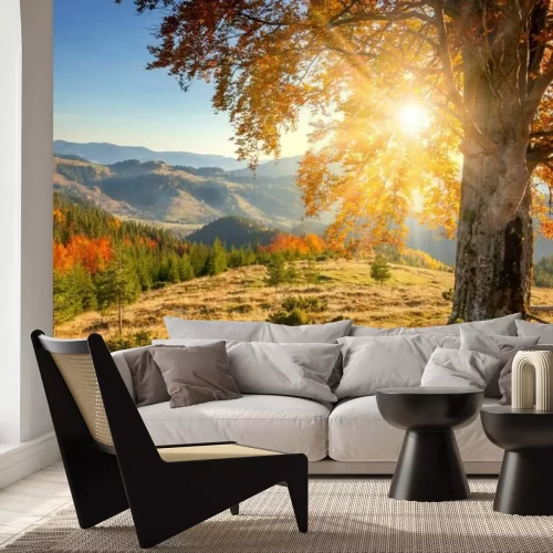 Papier peint  Le soleil au-dessus d'une clairière