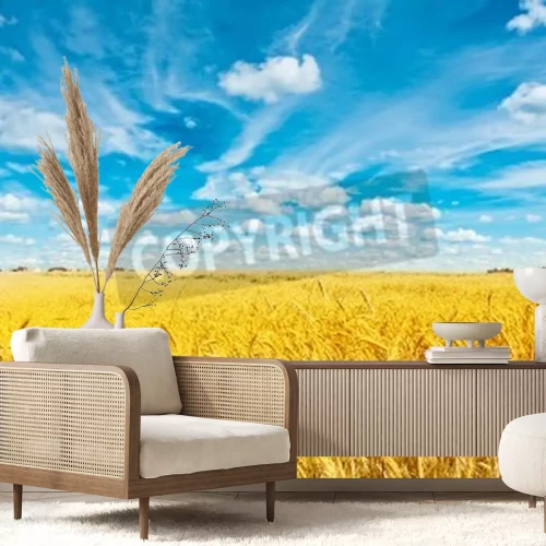 Papier peint  Ciel au-dessus d'un champ ensoleillé