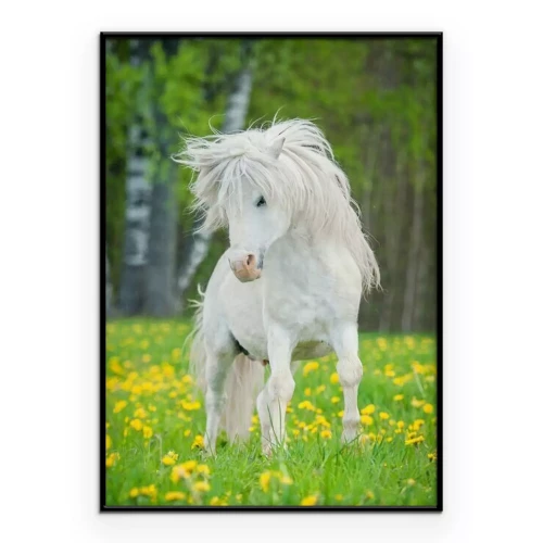 Poster  Un poney blanc dans une clairière fleurie