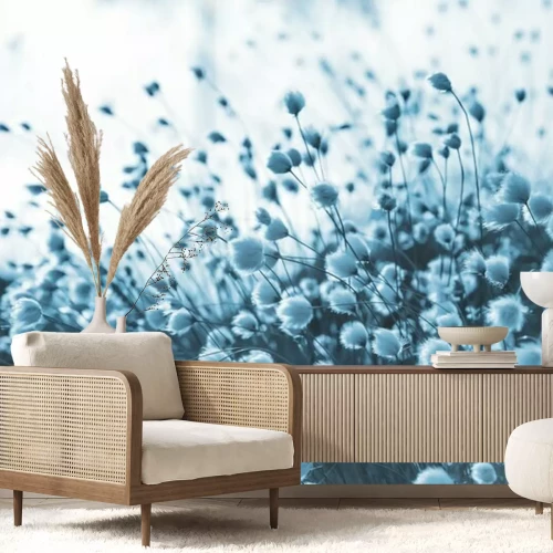 Papier peint  Herbe décorative sur une photo bleue