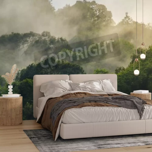 Papier peint  Forêt tropicale dans la brume