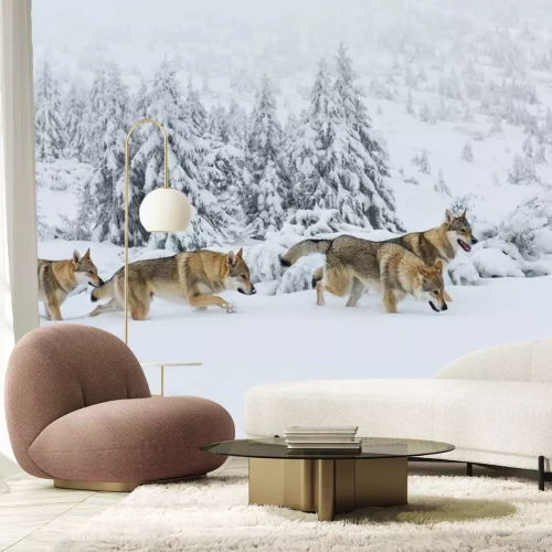 Papier peint  Une meute de loups polaires dans la neige