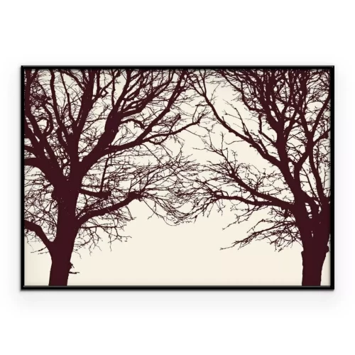 Poster  Deux arbres nus à la cime sans feuilles