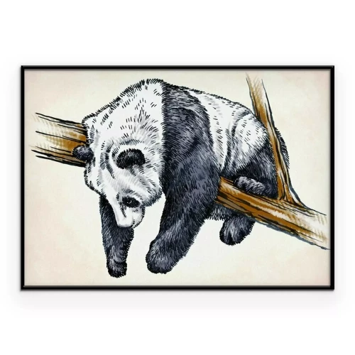 Poster  Panda endormi sur une branche