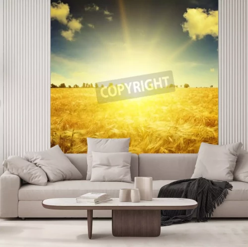 Papier peint  Lever de soleil sur un champ de blé